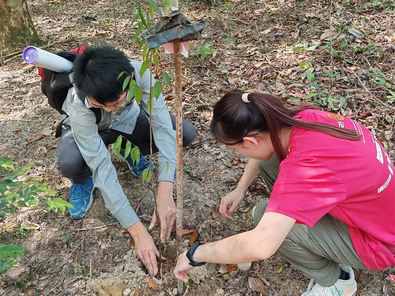 20241026-save-trees-save-life-cover.webp